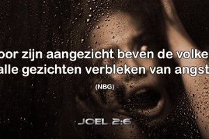 Joel0206 NBG